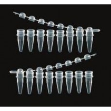 MICROTUBO EM TIRAS (STRIP). DE 8X200UL, COR NATURAL, COM TAMPA,PCT C/ 125 TIRAS DE 08 MICROTUBOS. MICROTUBO EM TIRAS (STRIP). DE 8X200UL, COR NATURAL, COM TAMPA,PCT C/ 125 TIRAS DE 08 MICROTUBOS.